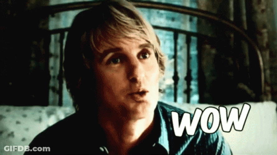 Owen Wilson Wow Marley & Me GIF