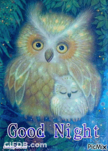 Owl And Baby Owl Saying Good Night GIF