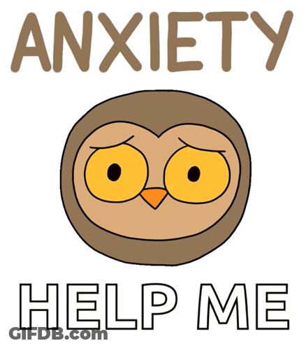 Owl Anxiety Help Me GIF