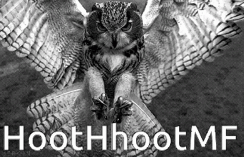Owl Attacking With Claws GIF