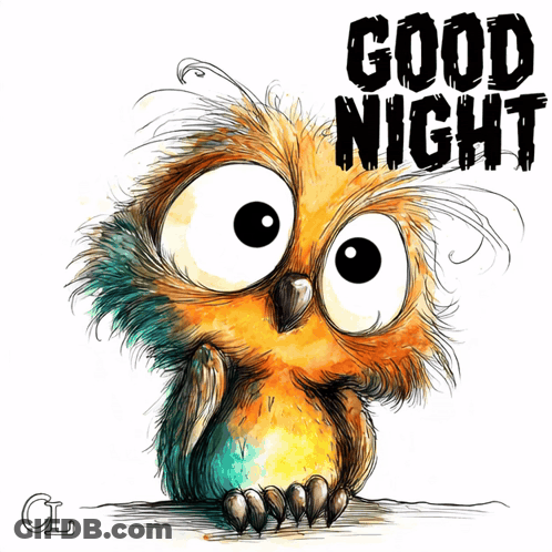 Owl Drawing Saying Good Night GIF