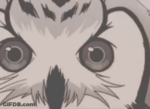Owl Drawing With Big Eyes GIF