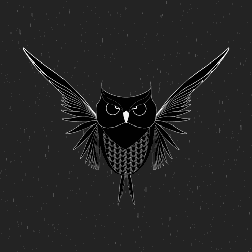 Owl Flying Up GIF