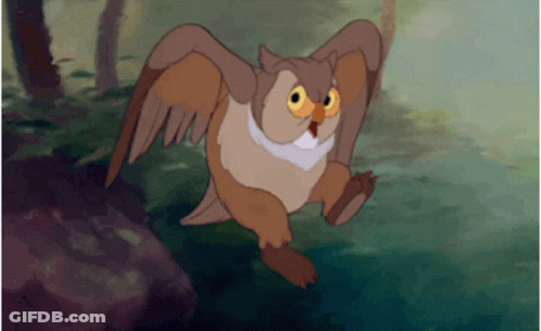 Owl Flying With Wings Spread GIF