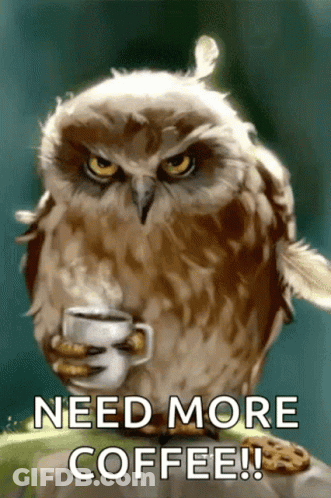 Owl Holding Coffee And Cookie Saying Need More Coffee GIF