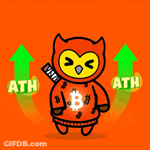 Owl In Red Sweater With Bitcoin Symbol GIF