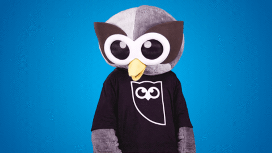 Owl Mascot Dab GIF