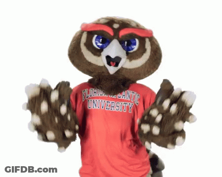 Owl Mascot In Red Florida Atlantic University Shirt GIF