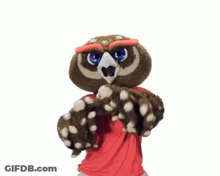 Owl Mascot Wearing Florida University Shirt GIF