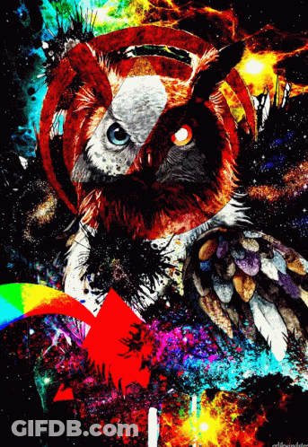 Owl Painting With Red Arrow Pointing Right GIF