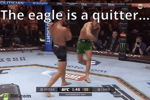 Owl Perched On Branch Starly Used Quick Attack GIF
