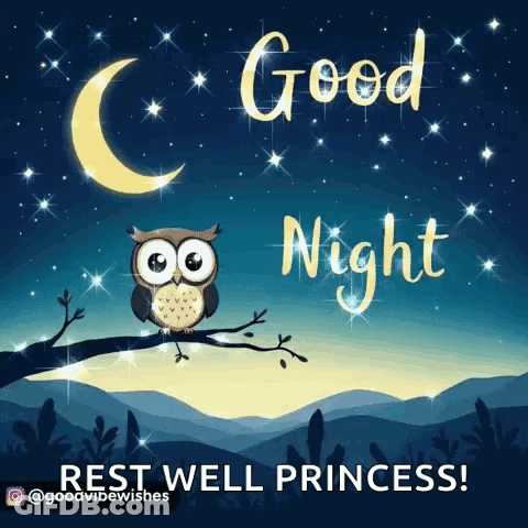 Owl Saying Good Night Rest Well Princess GIF