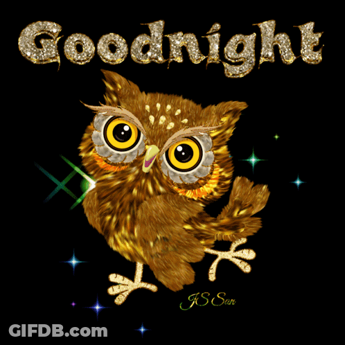 Owl Saying Goodnight GIF