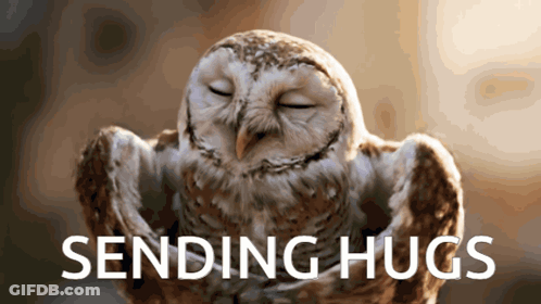 Owl Sending Hugs GIF