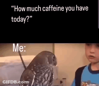 Owl Sitting Next To Boy In Kitchen GIF