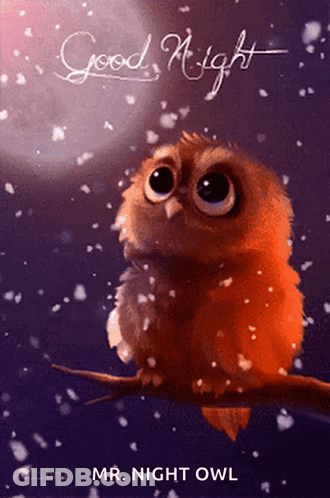 Owl Sitting On Branch Good Night Mr. Night Owl GIF