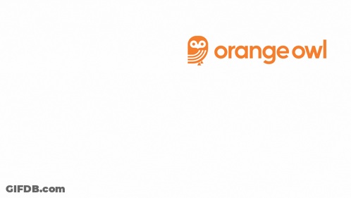 Owl Sitting On Branch Good Night Rest Well Princess GIF