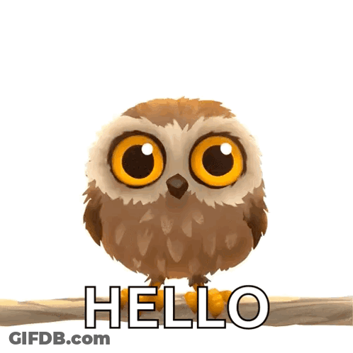Owl Sitting On Branch Saying Hello GIF