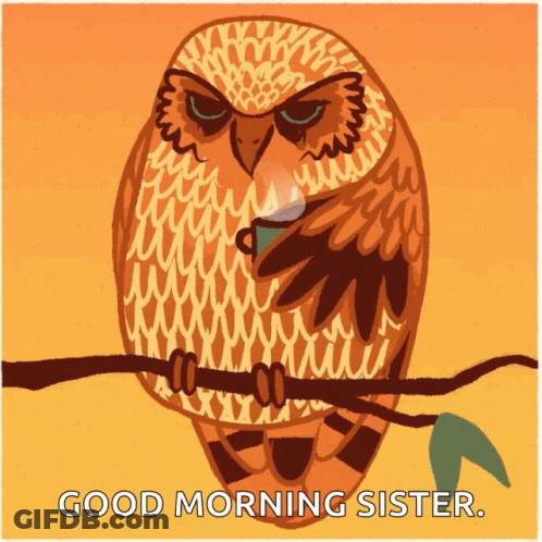 Owl Sitting On Branch With Coffee In Beak GIF
