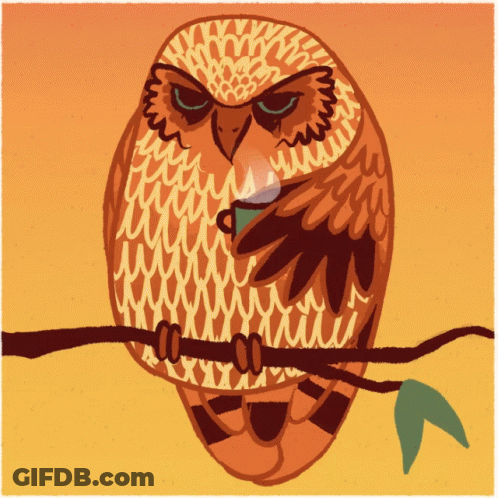 Owl Sitting On Branch With Cup In Beak GIF