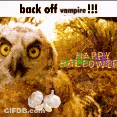 Owl Sitting On Leaves With Garlic Bulbs Back Off Vampire GIF