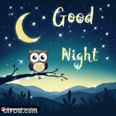Owl Sitting On Tree Branch Good Night GIF