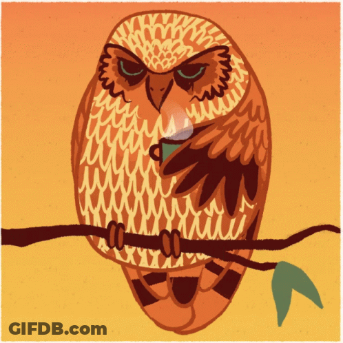 Owl Standing In Front Of Refrigerator With January GIF