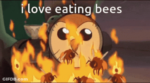 Owl Surrounded By Burning Bees Saying I Love Eating Bees GIF
