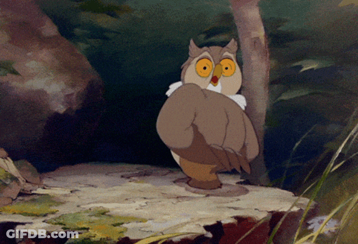 Owl Thinking Of Your Name GIF