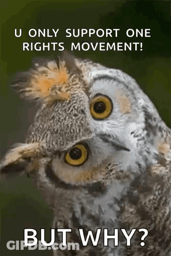 Owl U Only Support One Rights Movement Why GIF