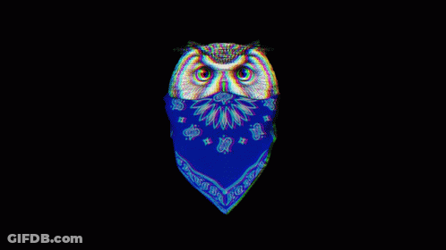 Owl Wearing Blue Bandana And Crown Saying King GIF