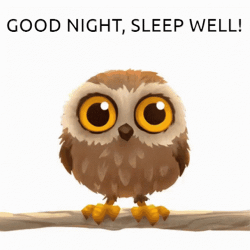 Owl With Good Night Greeting GIF