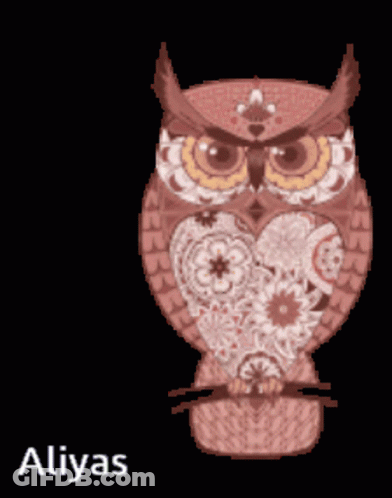 Owl With Name Aliyas Written Below GIF