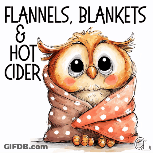 Owl Wrapped In Blanket Flannels Hot Cider GIF