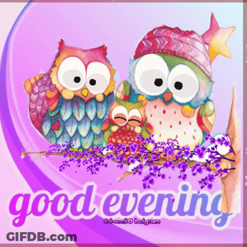 Owls On Branch Saying Good Evening GIF