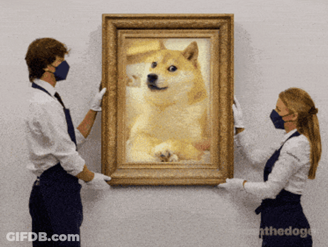 Ownthedoge Own The Doge GIF