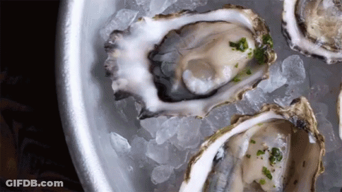 Oysters Are Sitting On Ice In A Bowl GIF