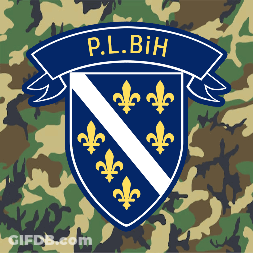 P.l.bih Is Written On A Blue Emblem On A Camo Background GIF