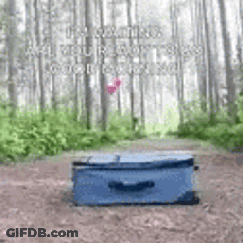 Packing Dog Inside The Luggage GIF