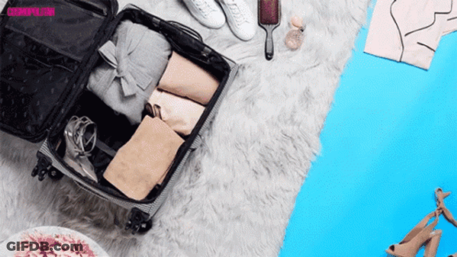 Packing Heels Shoes GIF
