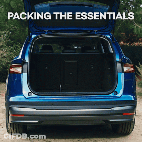 Packing On Car Apartment GIF