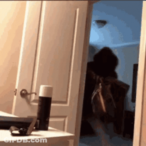 Packing Rushing Out GIF