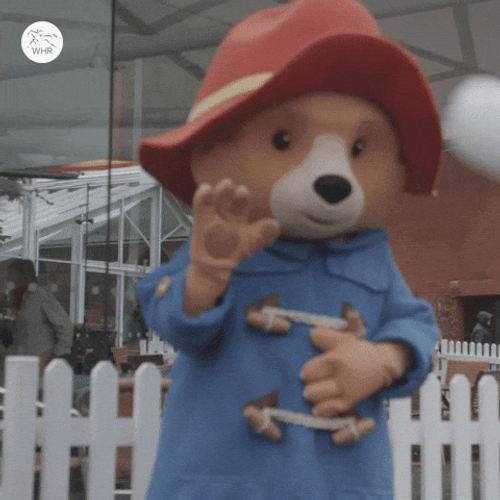 Paddington Bear Waving GIF