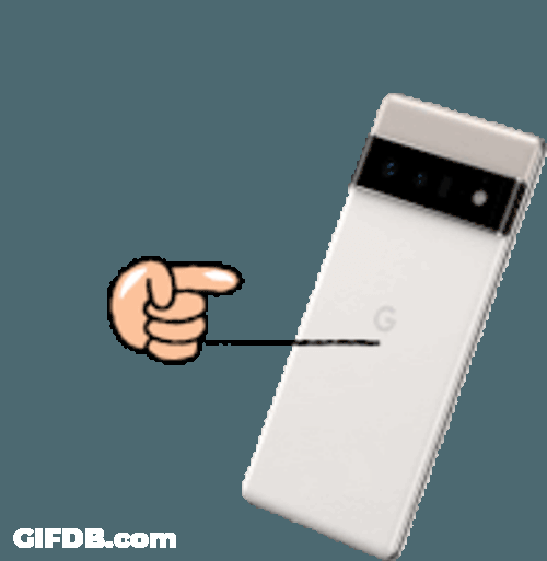 Paddleboard Paddleball Sticker GIF