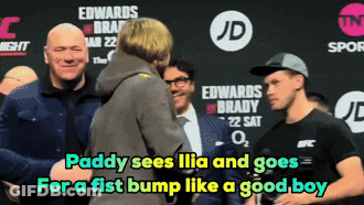Paddy Fist Bumping Ilia GIF