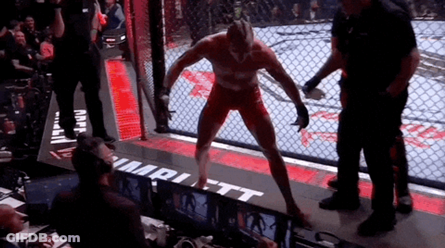 Paddy The Baddy High Five To The Crew GIF