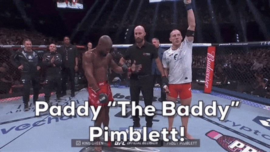 Paddy The Baddy Hug King Green GIF