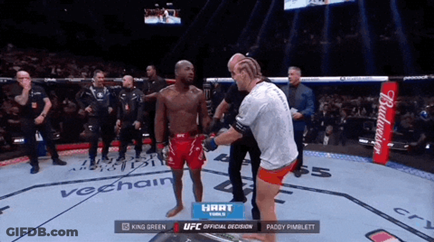 Paddy The Baddy Talking To King Green GIF