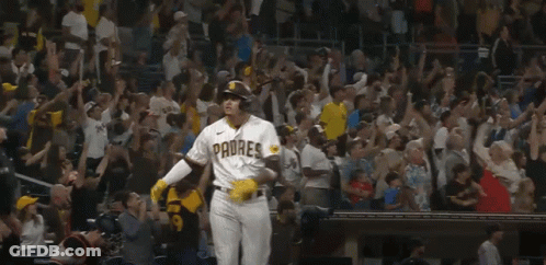 Padres Baseball Player In Front Of Crowd GIF
