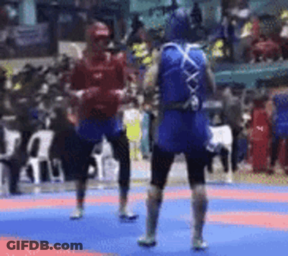 Pagancy Lowkick GIF